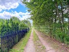Działka rekreacyjna Sumin gm. Urszulin, Sumin, Grabniak, Urszulin - 7
