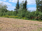 Działka siedliskowa Kotorydz gm. Tarczyn, - 4