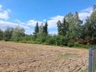 Działka siedliskowa Kotorydz gm. Tarczyn, - 11