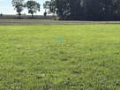 Działka inwestycyjna Łubowo Owieczki, Owieczki - 15