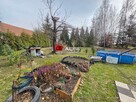 Działka budowlana Milikowice gm. Jaworzyna Śląska, Milikowice - 3
