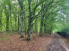 Budowlana nad rzeką Świder 30min z W-wy trasą S17 - 9