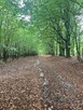 Budowlana nad rzeką Świder 30min z W-wy trasą S17 - 10