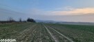 Na sprzedaż działka rolna - 2