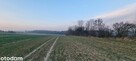 Na sprzedaż działka rolna - 3