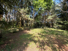 Działka inwestycyjna Uście gm. Kolsko, - 8