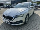 Škoda Octavia 2.0 TDi DSG biała perła, bardzo zadbana! - 2