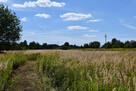 Działka rolna 43a - Strażów - 3