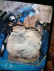 Terrarium akwarium - 5