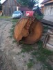 Sprzedam Dęba - 2
