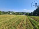 Działka budowlana Pszów, K. Miarki - 14