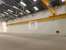 Lokal użytkowy Warszawa Bielany, Wólczyńska - 7