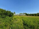 Kamienica Polska, działka budowlana 1017m2, 20x50 - 9