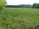 Działka 1.18 ha pod Mszczonowem | WZ | 28 zł/m2 - 4