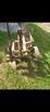 Pług 2 lub 3skibowy do traktora c330 .t25 - 6