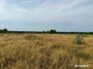 Działki budowlane 1130m2 Tąpkowice ul. Brynicka