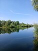 Pan szuka Pana