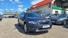 Škoda Octavia Skout, 2.0 180KM,  4x4, DSG