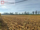 Działka budowlana Prandocin-Iły gm. Słomniki - 1