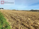 Działka budowlana Prandocin-Iły gm. Słomniki - 15