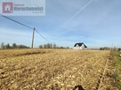 Działka budowlana Prandocin-Iły gm. Słomniki - 10