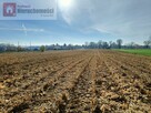 Działka budowlana Prandocin-Iły gm. Słomniki - 14