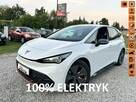 Cupra Born ELEKTYRYK