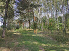 DZIAŁKA ROLNA/INWESTYCYJNA| 6,58HA |BLISKO JEZIORA - 4