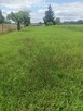 Marcinkowice (gm. Tuczno)mieszkanie 41,5 m² - 13