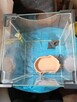 Terrarium akwarium plus gadżety - 4