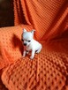 Urocza suczka Chihuahua – kremowa - 1