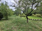 Sprzedam - 3