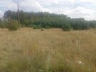 Działka 3003 m2 - 2