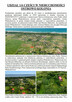Syndyk sprzeda działkę Ostrowo Kolonia - 2