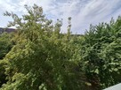 wynajmę mieszkanie 2 pokoje popowice 34mkw - 12