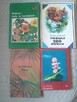 kwiaty, begonie,Szaferowa, palmy,Witkowska, rośliny,