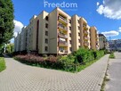 Trzypokojowe mieszkanie na pierwszym piętrze - 11