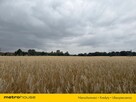 Działka budowlana 2500m² Gościno, WZ,15km od morza - 6