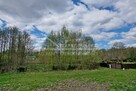 Działka budowlana Sumin gm. Urszulin, Sumin - 2