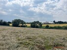 Działka budowlana Golęczewo gm. Suchy Las, Malinowa - 5
