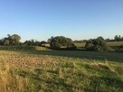 Działka budowlana Golęczewo gm. Suchy Las, Malinowa - 6