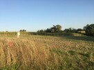 Działka budowlana Golęczewo gm. Suchy Las, Malinowa - 8