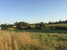 Działka budowlana Golęczewo gm. Suchy Las, Malinowa - 9