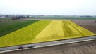 Działka inwestycyjna Kostrzyn, Ignacewo - 6