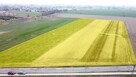 Działka inwestycyjna Kostrzyn, Ignacewo - 7