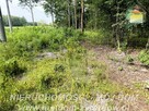 Działka budowlana Zazdrość gm. Radziejowice, Leśna - 3