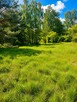 Działka budowlana 1233 m² | 10 min od Sokołowa | 95 000 zł - 2
