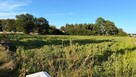 Działka budowlana nad j powidzkim Kosewo - 4