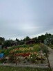 Sprzedam