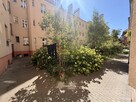 3pok 94m2 Poznań Grunwald parking/podwórze - 14